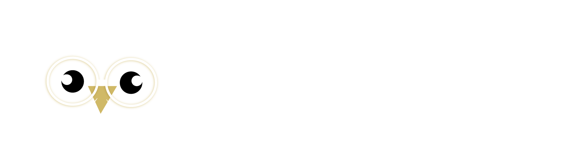Wildtechstudio.com Logo